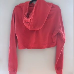 GYM SHARK CROPPED HOODIE